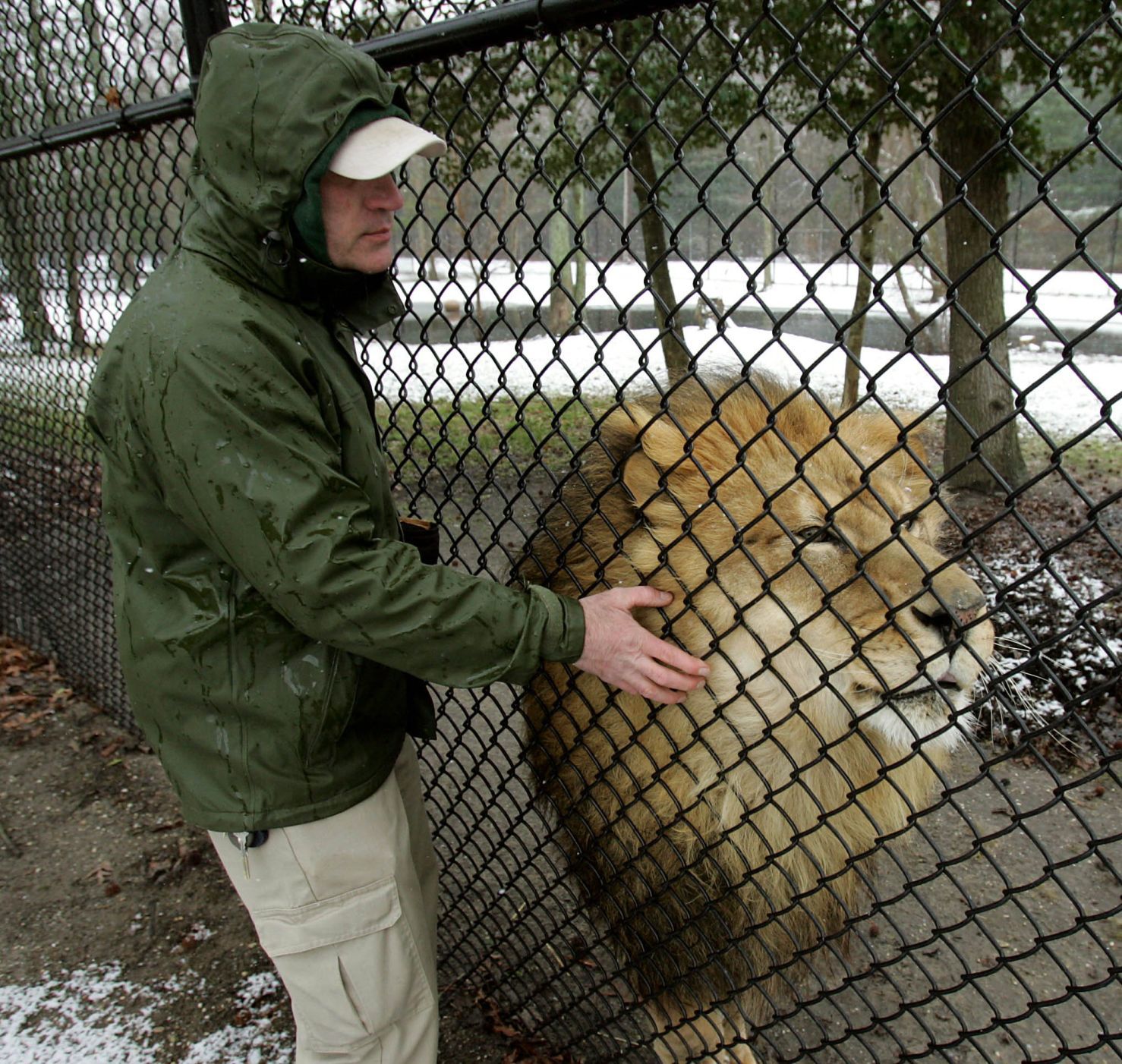 Zoo Snow